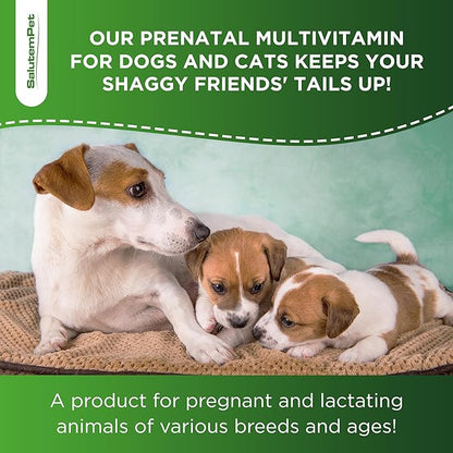 Dog Prenatal Vitamins for Moms During Lactating – Prenatal Vitamins for Dogs & Cats of All Breeds to Care for Pet Development – Multivitamin for Cats – 2 Oz – Herbal Supplement for Pets