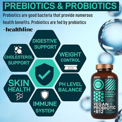 Vegan Probiotic Plus B12 & FOS - 22 Billion CFU Synbiotics Prebiotics and Probiotics for Digestive Health, IBS, Mood Support - B12 Pre Pro Post Biotics for Women & Men - 60 Gluten-Free Capsules