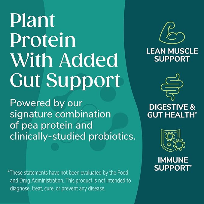 Wonderslim Protein Chips with Probiotics, Sour Cream & Onion | 12g Plant Protein, 170 Cal | High Protein Chips, Vegan, Gluten Free, Non-GMO | Made with Avocado Oil, No Seed Oils | 12 Pack