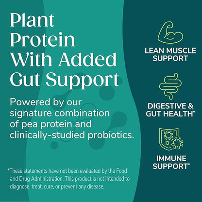 Wonderslim Protein Chips with Probiotics, Sour Cream & Onion | 12g Plant Protein, 170 Cal | High Protein Chips, Vegan, Gluten Free, Non-GMO | Made with Avocado Oil, No Seed Oils | 12 Pack