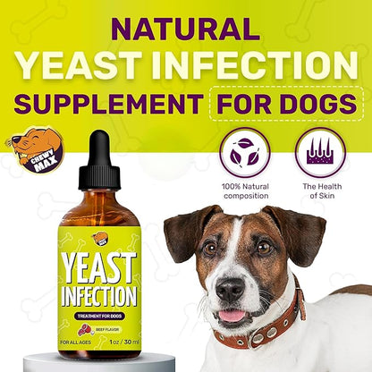Yeast Infection Treatment for Dogs Helps with Allergies & Itching, and Ear Irritation | Dog Yeast Infection Treatment with Pau D'Arco, Dandelion, Ginger | For Puppies & Adult Ones | Beef Flavor | 1 oz