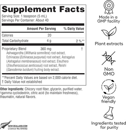 Immune + Energy Syrup, Herbal Formula with Ashwagandha, Echinacea, Astragalus and Ginseng, High Absorption, Easy to Take, Caffeine-Free - 6.7 Fl oz (40 Servings)