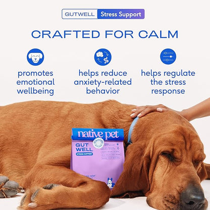 Native Pet GutWell Stress Support - Dog Anxiety Relief & Calming Supplement - Promotes Emotional Wellbeing, Regulates Stress Response & Balances Gut-Brain Axis - Triple-Biotic & Magnesium - 60 Scoops