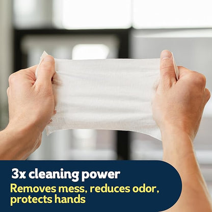Cottonelle Summer Fresh Scented Flushable Wipes, 2 Flip-Top Packs, 42 Wet Wipes per Pack