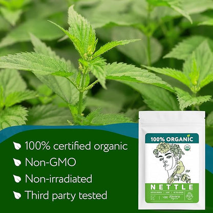 Nettle Tea Organic (40 Tea Bags) - Stinging Nettle Leaf TeaBags – Ortiga Tea for Optimal Health, Immune Support, Kidney - Te de Ortiga Organico Natural