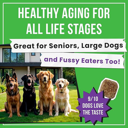 Glucosamine for Dogs - Joints Health Treats w/Omega Fish Oil - Natural Joint Pain Relief - Canine Hip and Joint Supplement w/Chondroitin + MSM + Turmeric + Calcium - 240 Beef Chews
