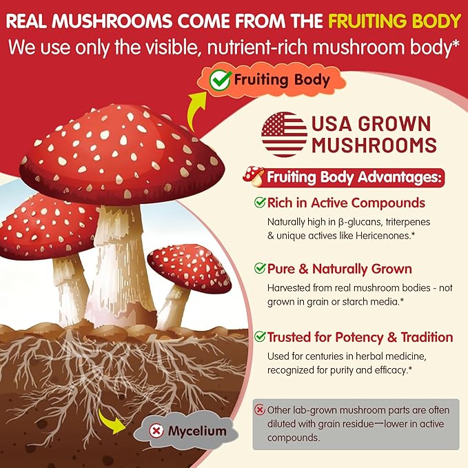 Kids, Teens & Adults Focus Gummies - Lions Mane Mushroom + Saffron + Algae Omega-3, 24-IN-1 Attention Supplement with Chaga, Magnesium, Methylated B12, B6 for Brain, Memory, Energy, Sugar Free, 2Pack