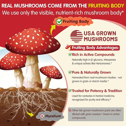 Kids, Teens & Adults Focus Gummies - Lions Mane Mushroom + Saffron + Algae Omega-3, 24-IN-1 Attention Supplement with Chaga, Magnesium, Methylated B12, B6 for Brain, Memory, Energy, Sugar Free, 2Pack