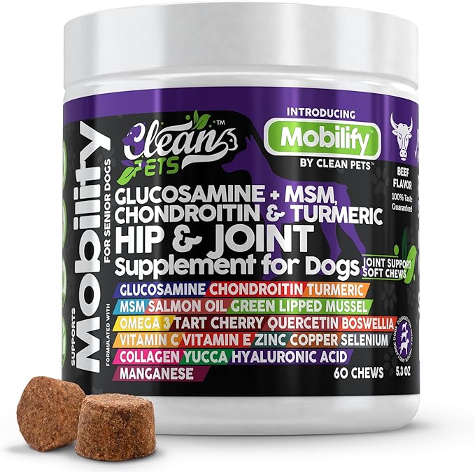 Clean Pets Hip and Joint Supplement Dogs with Glucosamine for Dogs + Chondroitin, Turmeric, Hyaluronic Acid, MSM, Salmon Oil, Collagen, Vitamin C, Omega 3 Senior Dog Supplements Beef Flavor - 1Pack