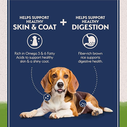 Natural Balance Limited Ingredient Adult Dry Dog Food with Vegan Plant Based Protein and Healthy Grains, Vegetarian Recipe, 12 Pound (Pack of 1)
