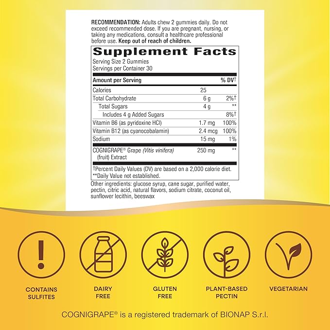 Nature's Way Brain Fuel, Supports Memory and Concentration*, Brain Function Support Supplement*, Clinically Studied Cognigrape®, Grape Flavored, 60 Gummies,(Pack of 2)