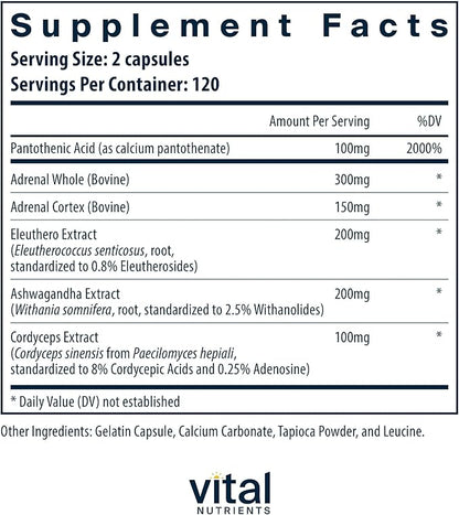 Vital Nutrients Adrenal Support - Adrenal Support Supplements for Gland Function and Cortisol Management - Supports Energy and Stress Levels - Gluten, Dairy, Soy Free - 240 Capsules