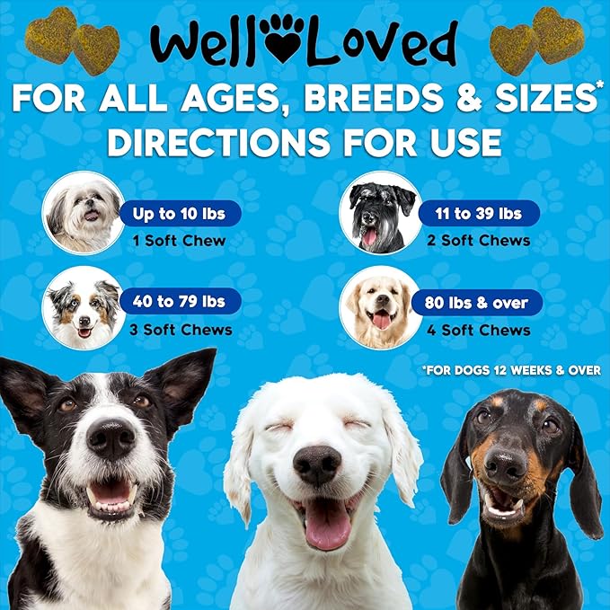Well Loved Glucosamine for Dogs - Joint Supplement for Dogs, Made in USA, Vet Developed, Glucosamine Chondroitin, Hip and Joint Chews with MSM, Large Breed, Pain Relief, 120 Chews