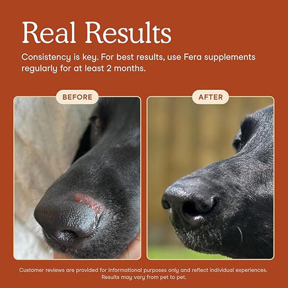 Fera Pets Probiotics for Dogs & Cats with Prebiotics - USDA Organic - Gut Health Powder Supplement with 12 Strains and 5 Billion CFUs - Supports Immunity, Energy and Skin & Coat - 60 Scoops