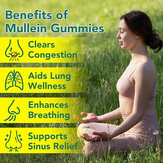 Mullein Gummies for Lung Detox, 2000mg Mullein Leaf Extract for Respiratory & Digestive & Immune Support w/Quercetin, Bromelain, Elderberry & Marshmallow, Vegan 120 Gummies (2 packs 120 gummies)
