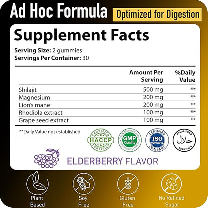 ad hoc 1100mg Gold Shilajit Gummies with Magnesium, Lions Mane, Rhodiola, Grape Seed - Himalayan Shilajit for Men Women, 85+ Trace Minerals & Fulvic Acid, Pure Shilajit for Energy Immune Support,60 Ct