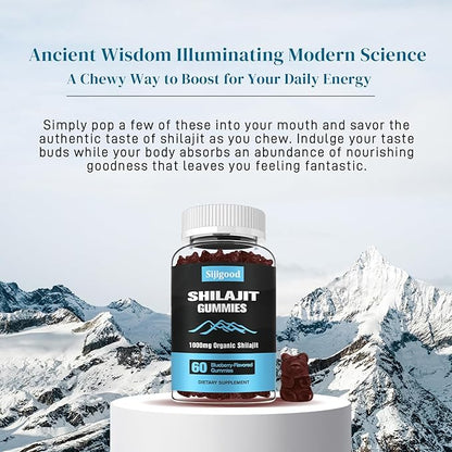 2 Packs Shilajit Supplement Gummies with 85+ Trace Minerals Supplement, Shilajit for Men & Women - 120 Blueberry Flavored Gummies