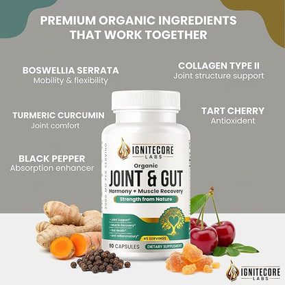 Organic Joint & Gut Harmony – Turmeric Curcumin, Boswellia, Type II Collagen, Tart Cherry, Ginger, Moringa, Probiotics – Joint Comfort, Mobility, Flexibility, Gut Balance, Digestive Support – 2000mg