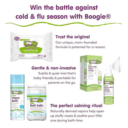 Boogie Antibacterial Hand Wipes by Boogie, Alcohol Free, Hypoallergenic and Moisturizing Aloe, for Kids and Adults -100 Total Wipes (5 Packs of 20)