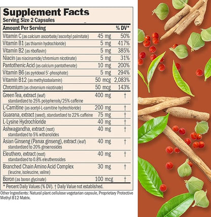 ANDREW LESSMAN Energy and Fat Metabolism Factors 180 Capsules - Promotes Optimum Fat Burning and Energy Metabolism, with Carnitine, Green Tea, Guarana, Ginseng, B-Complex. Easy to Swallow Capsules
