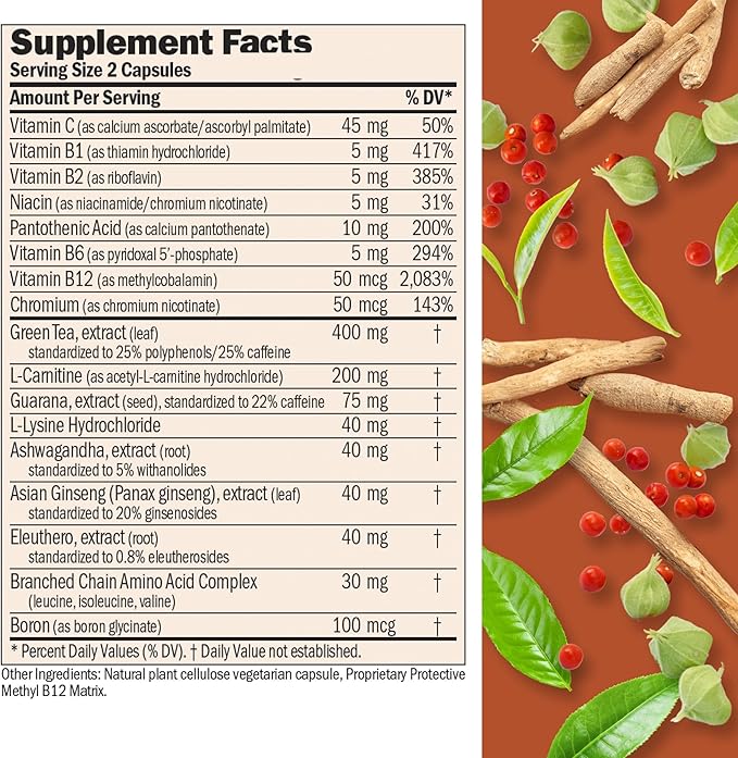 ANDREW LESSMAN Energy and Fat Metabolism Factors 360 Capsules - Promotes Optimum Fat Burning and Energy Metabolism, with Carnitine, Green Tea, Guarana, Ginseng, B-Complex. Easy to Swallow Capsules