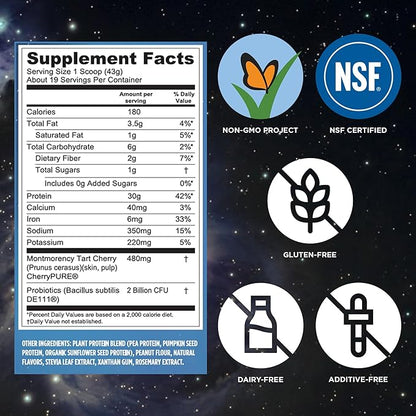 Vega Sport Vegan Protein Powder + Recovery - 30g Plant Based Protein per Serving, Peanut Butter, 19 Servings, 5g BCAAs, Probiotics, NSF Certified, for Shakes & Smoothies, 1.8lbs (Packaging May Vary)