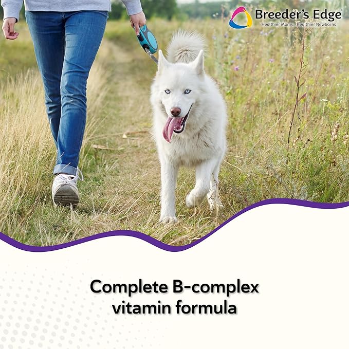 Breeder's Edge B Strong Liquid, Vitamin B for Dogs and Cats, Supports Canine and Feline Reproductive Health, Promotes Healthy Heat Cycles, Provides Energy, and Stimulates Appetite, 8 oz