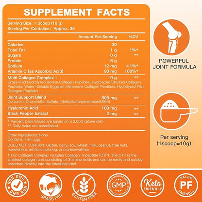 ZEBORA Multi-Collagen-Peptides-Powder with MSM & CS, Type I II III V X Hydrolyzed Collagen Peptides with Hyaluronic Acid & Vitamin C for Women and Men Hair, Skin, Nails & Joint, Non-GMO, 35 Servings