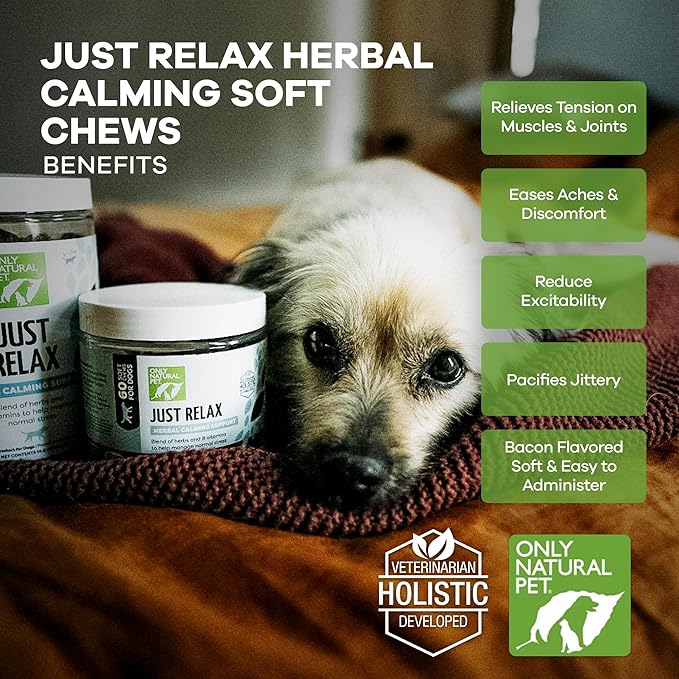 Only Natural Pet - Just Relax Herbal Calming Soft Chews for Dogs | Natural Anxiety Relief Treats, Premium Dog Relaxation Aid, Stress and Anxiety Relief Supplement - Bacon Flavor - 60 Soft Chews