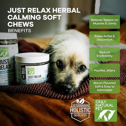 Only Natural Pet - Just Relax Herbal Calming Soft Chews for Dogs | Natural Anxiety Relief Treats, Premium Dog Relaxation Aid, Stress and Anxiety Relief Supplement - Bacon Flavor - 60 Soft Chews
