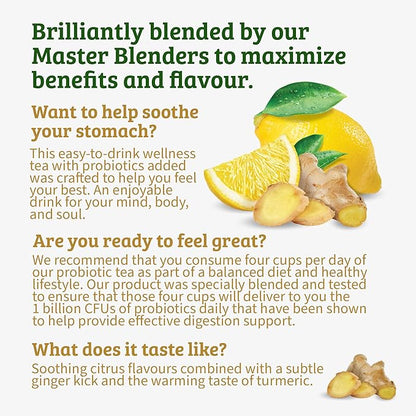 Twinings Superblends Probiotics+ Lemon & Ginger Flavoured Herbal Tea with Turmeric, Caffeine-Free, 18 Count (Pack of 2), Enjoy Hot or Iced, 18 Teabags