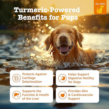Zesty Paws Turmeric Curcumin for Dogs - for Hip & Joint Mobility Supports Canine Digestive Cardiovascular & Liver Health - Coconut Oil for Skin Health with 95% Curcuminoids + BioPerine Duck, 90 Count