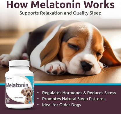K9 Select Melatonin for Dogs - Calming Aid Tasty Dog Supplement - Helps Overall Health with Quiet Moments and Composure - Reduce Stress Calming Treats for Small Dogs - 1 mg, 180 Vegetable Capsules