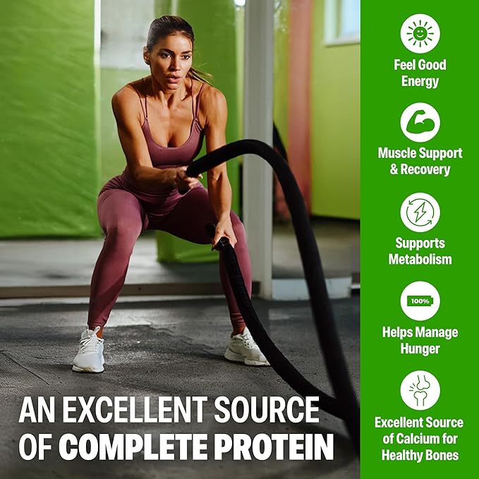 Orgain 38g High Protein Shake, Dairy Isolate Protein Milk, Vanilla, 6g BCAAs, 1g Sugar Per Serving, Meal Replacement, Ready to Drink, Keto Friendly, Gluten-Free 14 Fl Oz (Pack of 12)
