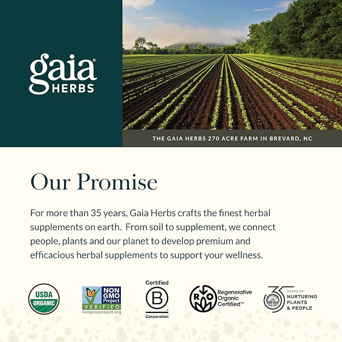 Gaia Herbs Adaptogen Performance - Energy Support Supplement with Ingredients Traditionally Used to Help Sustain Endurance & Stamina* - with Cordyceps & Ashwagandha - 60 Vegan Capsules (60 Servings)