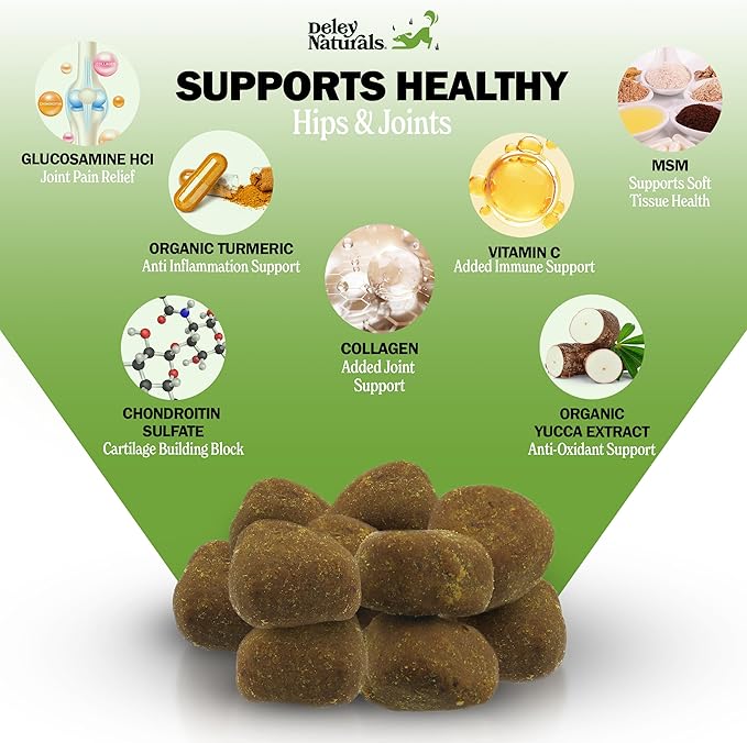 Deley Naturals Hip and Joint Supplement for Dogs - Glucosamine Chondroitin MSM & Collagen for Dogs - Dog Joint Supplement, Smaller Chews, Low Calories, Same Ingredients - 120 Bacon Flavor Chews