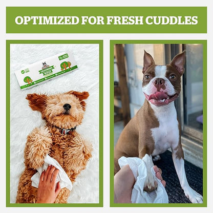 Pogi’s Dog Grooming Wipes – Hypoallergenic Pet Wipes for Paws, Body & Butt – Cleaning & Hydrating, Fragrance Free, 100-Count