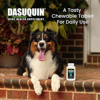 Nutramax Dasuquin for Small to Medium Dogs, Joint Health Supplement, Contains Glucosamine for Dogs, Plus Chondroitin, ASU, MSM and More, Supports Healthy Joints, Chewable Tablets, 150 Count