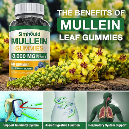 Simhould 1 Pack Sugar Free 3000MG Mullein Gummies - Lung Cleanse, Mullein Leaf Extract Supplement for Respiratory, Organic Mullein Drops with Quercetin & Bromelain for Lung, Digestive Health & Immune