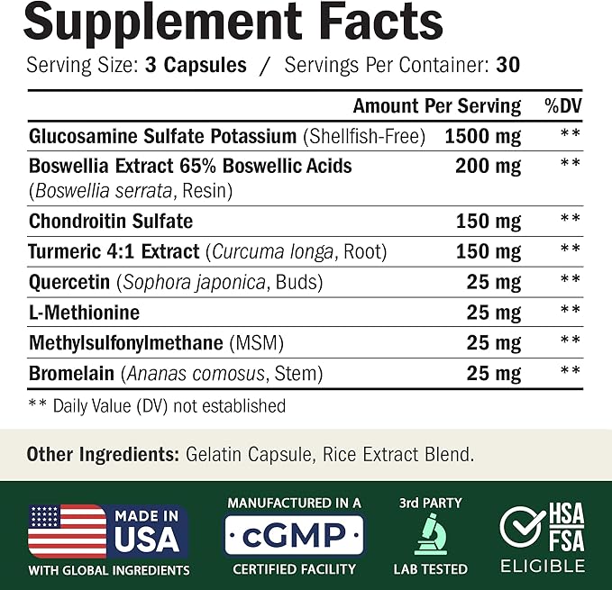 Glucosamine Chondroitin MSM – Joint Support Supplement for Women and Men with Glucosamine Sulfate 1500 mg, Chondroitin and MSM – for Cartilage, Joint Health and Flexibility – 2 Pack