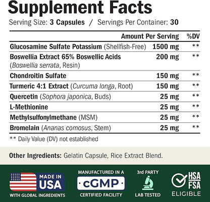 Glucosamine Chondroitin MSM – Joint Support Supplement for Women and Men with Glucosamine Sulfate 1500 mg, Chondroitin and MSM – for Cartilage, Joint Health and Flexibility – 2 Pack