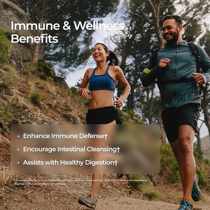 Livingood Daily Immune Support Supplement, 4-in-1 Formula with Oregano Oil, Monolaurin, L Lysine & Quercetin, Gut & Digestive Health, Gluten Free, Vegan, Non GMO, Allergen Free, 120 Capsules