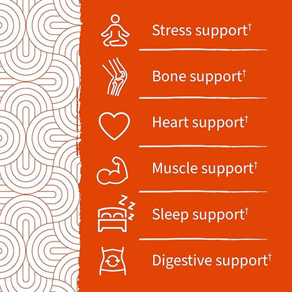 Garden of Life Magnesium Citrate Supplement Gummies with Prebiotics & Probiotics for Stress, Sleep & Recovery - Vegan, Gluten Free, Kosher, Non-GMO, No Added Sugars, Orange Cream Flavor, 60 Count