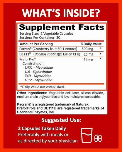 Potent Garden Urinary Support Womens Probiotic for Urinary Tract Health for Women, Cranberry Capsules with 5 Billion CFUs Cranberry Extract, Prebiotics and Probiotics for Women, 60 Caps, 30 Servings