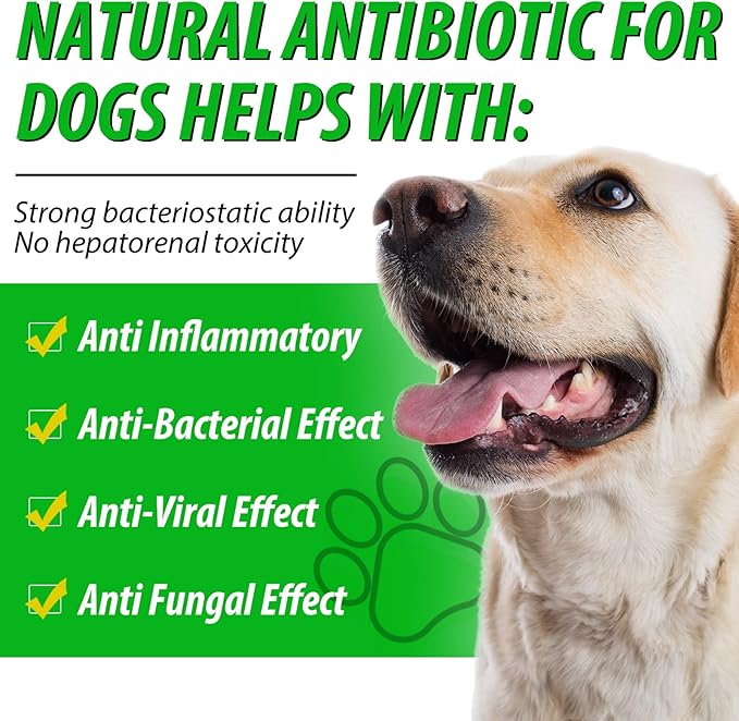 Dog Antibiotics for Skin Infection, Antibiotic for Dogs, Natural Antibiotics for Dogs Multivitamin Support Immune and Dog Allergy Itch Relief, Pet Antibiotics Supplement, 2 Fl Oz