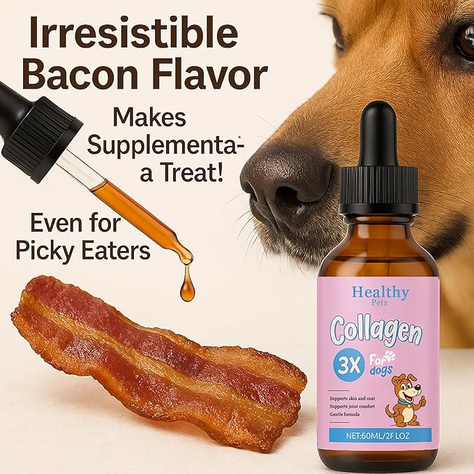 Premium Liquid Collagen for Dogs - Skin & Coat Supplement with Hyaluronic Acid & Biotin, Supports Joint Health, Mobility & Hydration for All Dogs, Bacon Flavor - 2 fl oz (1)