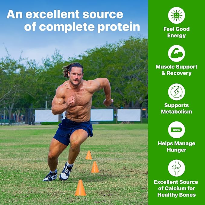 Orgain 38g High Protein Shake, Dairy Isolate Protein Milk, Chocolate Fudge, 6g BCAAs, 1g Sugar Per Serving, Meal Replacement, Ready to Drink, Keto Friendly, Gluten-Free 14 Fl Oz, (Pack of 24)