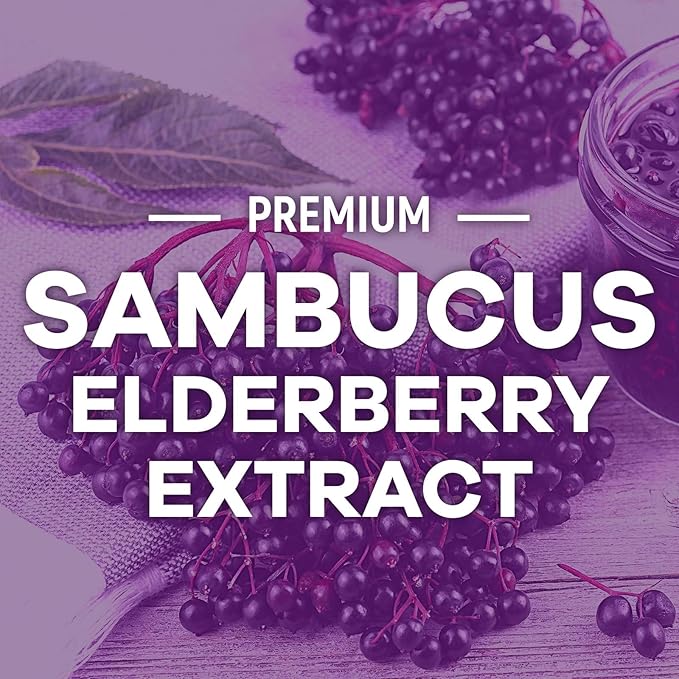 Elderberry Gummies - Black Elderberry Extract Immune Support Gummy with Vitamin C, D3 and Zinc - Sambucus Immune Health Support Supplement for Kids & Adults, Black Elder Berry Vitamins - 60 Gummies