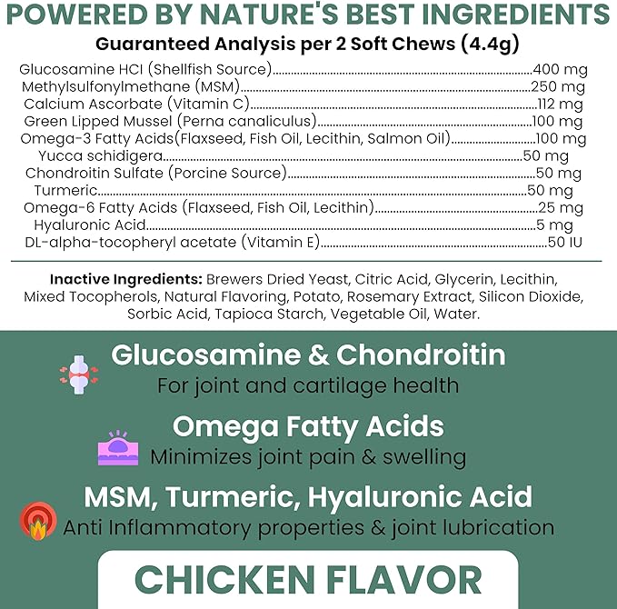 Chew + Heal Labs Glucosamine for Dogs Hip and Joint Supplement - 60 Senior Dogs Mobility Soft Chews - Made with Glucosamine, MSM, Chondroitin, Green Lipped Mussels and More - Made in The USA
