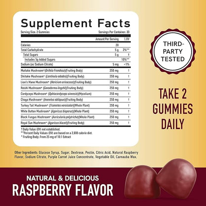 SMNutrition Mushroom Gummies for Adults | with Lions Mane, Turkey Tail, Reishi, Cordyceps, Chaga & Maitake | Support Cognitive Function & Immune Health | Raspberry Flavor | 60ct